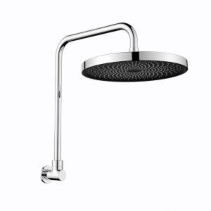 Gabe Gooseneck Shower