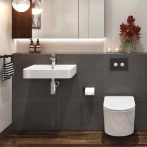 Wall Hung Basins