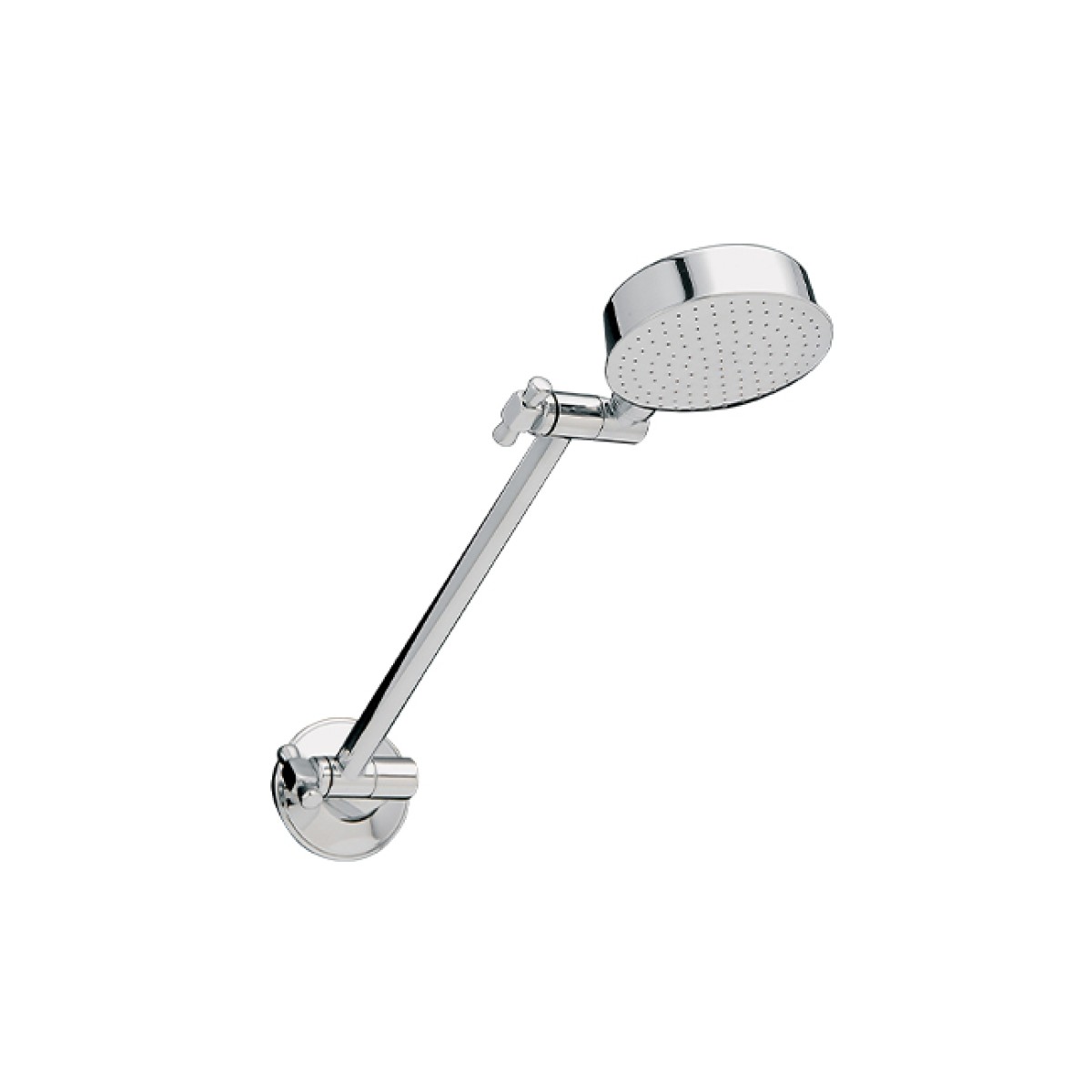Universal All directional shower
