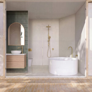 Anson Twin Shower